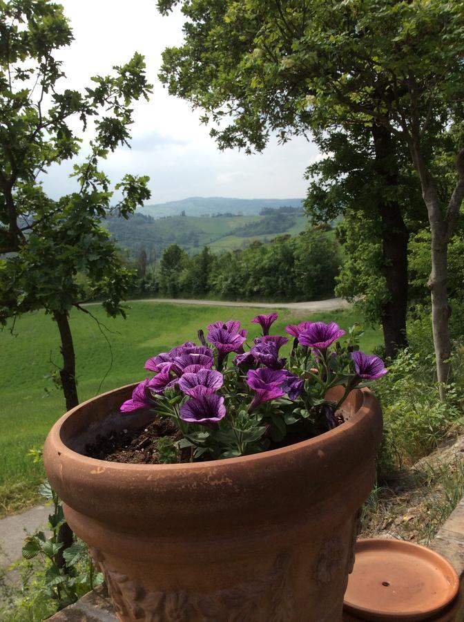 Agriturismo Ca Lunati Castelletto Mendosio Bagian luar foto